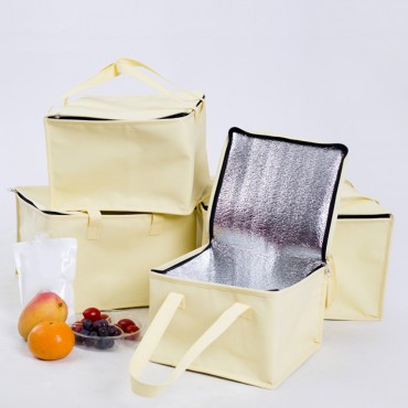 Non Woven Insulated Cooler Bag