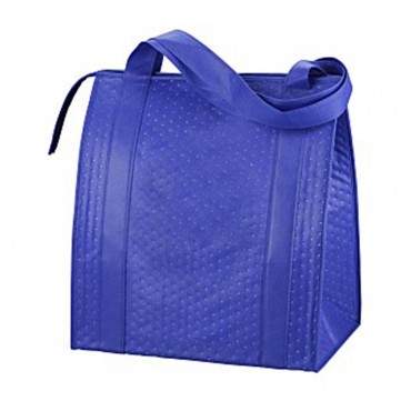 Insulated grocery bag