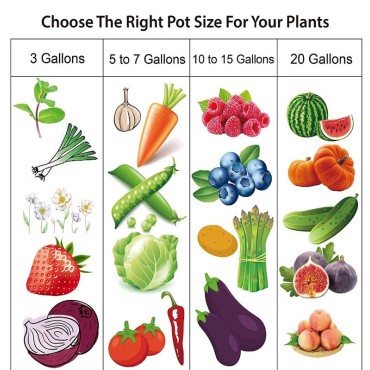 5 Gallons Non-woven Grow Pot